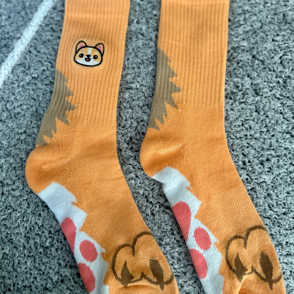 Orange Corgi Socks.